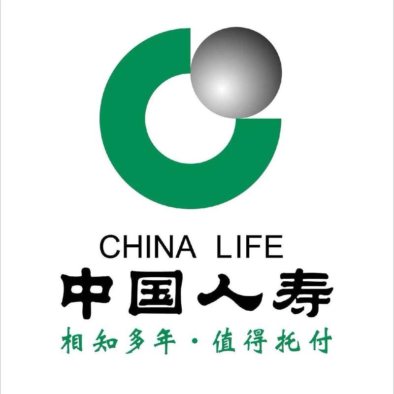 国寿财险